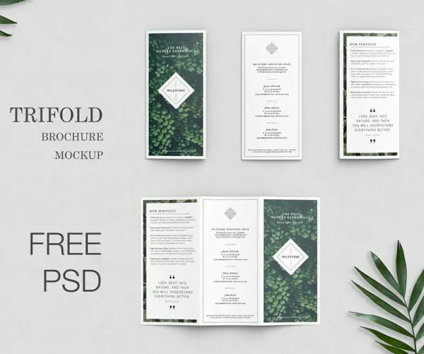 Free Minimalistic Trifold Brochure Mockup (PSD)